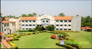 The International School - Logo