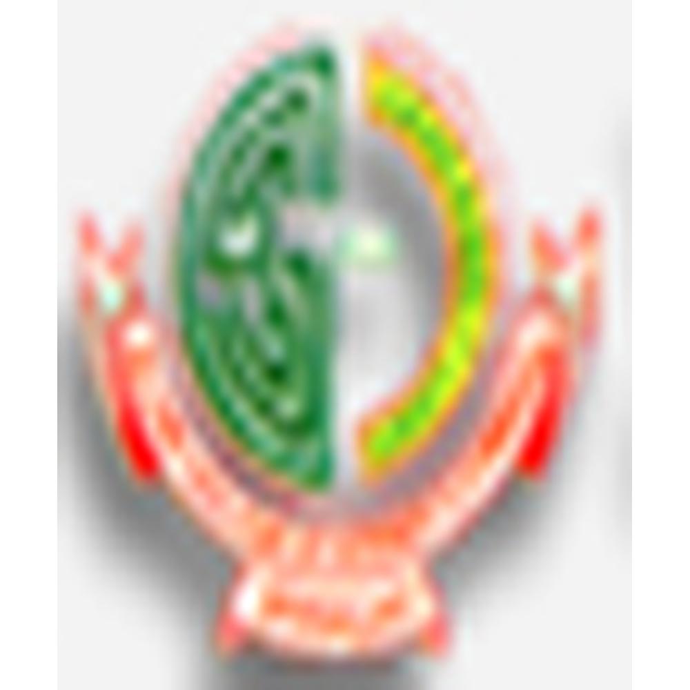 The Islamia College of Science and Commerce (IC) - Logo