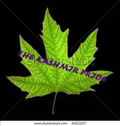 The Kashmir Pride 145878 - Logo