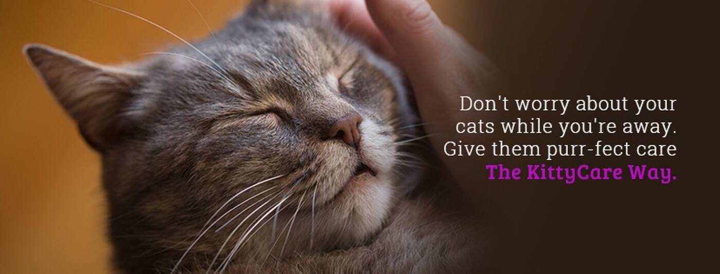 The KittyCare Way - Cover photo