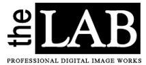 The Lab Professional Works - Logo