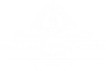 The Lake View Hotel - Logo
