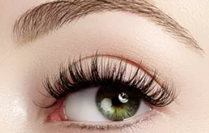 The Lash Pad - Logo