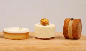 The Little Bird - Cover photo