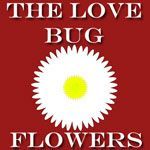 The Love Bug Flowers - Logo
