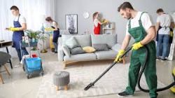 The Maids Hub (Domestic Help & Maid Consultant) - Logo