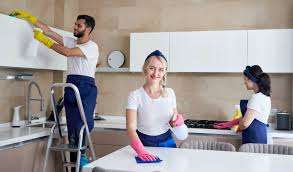 The Maids Hub (Domestic Help & Maid Consultant) - Cover photo