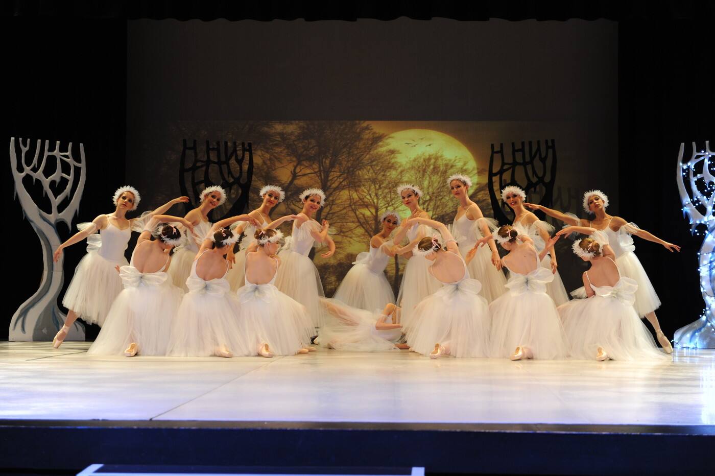 The Michelle Madlener Ballet Studio - Cover photo