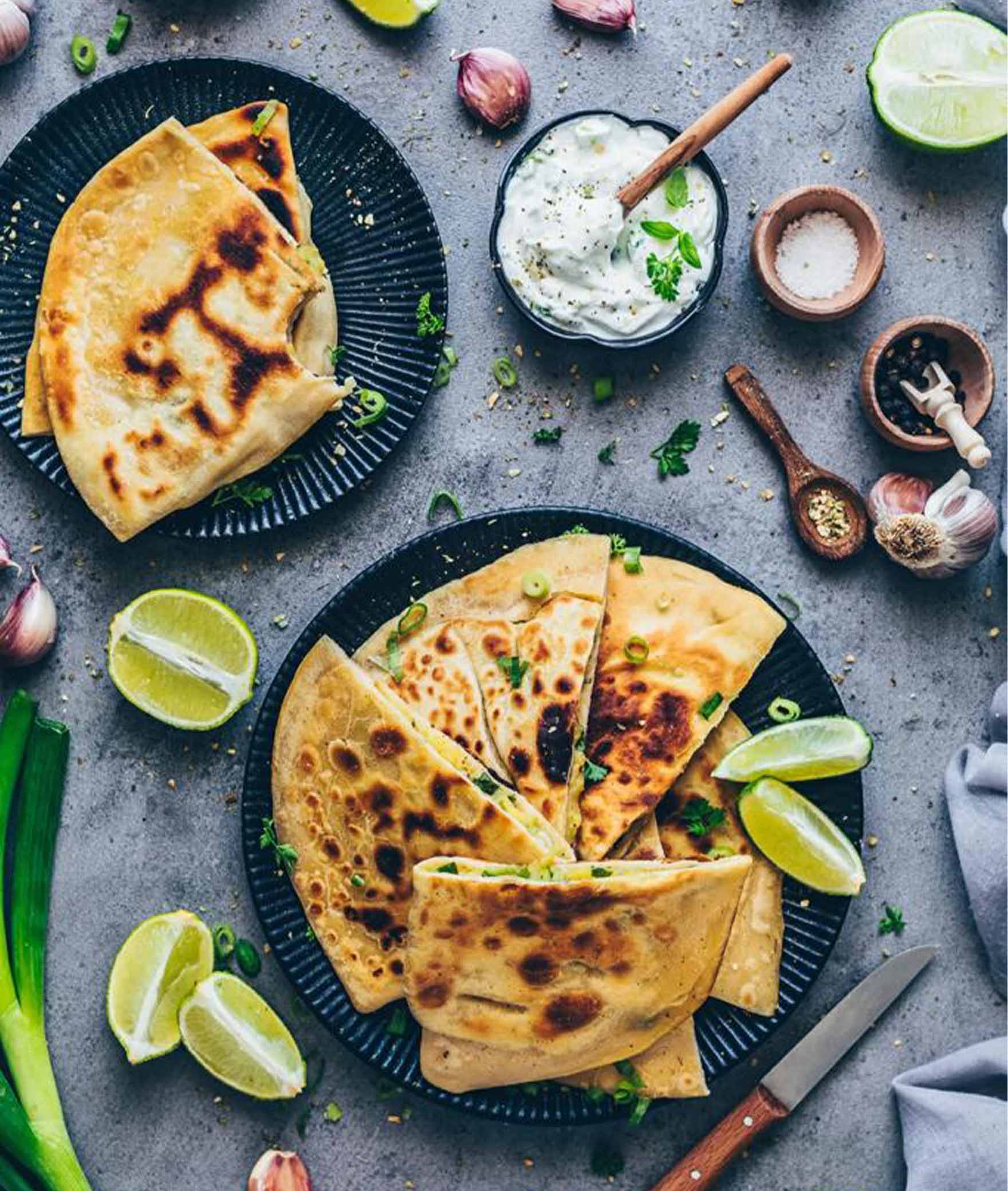 The Millionaire Parantha & Pakora - Logo