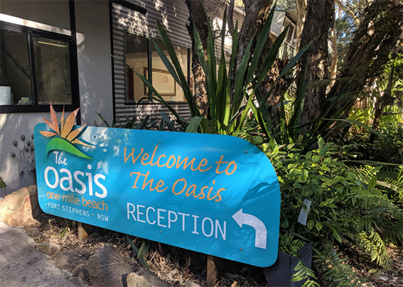 The Oasis - Cover photo