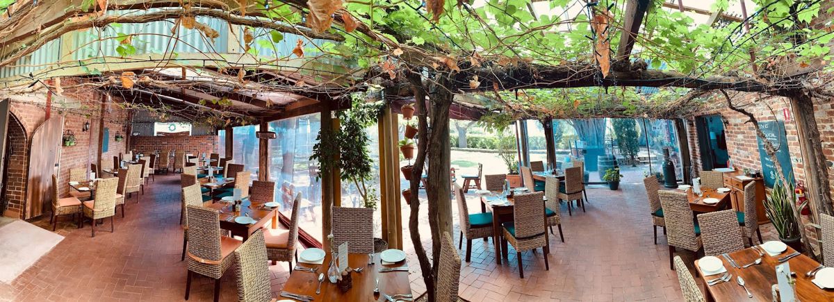 The Old Fig Tree - Logo