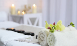 The Onsen Spa & Japanese Wellness - Logo