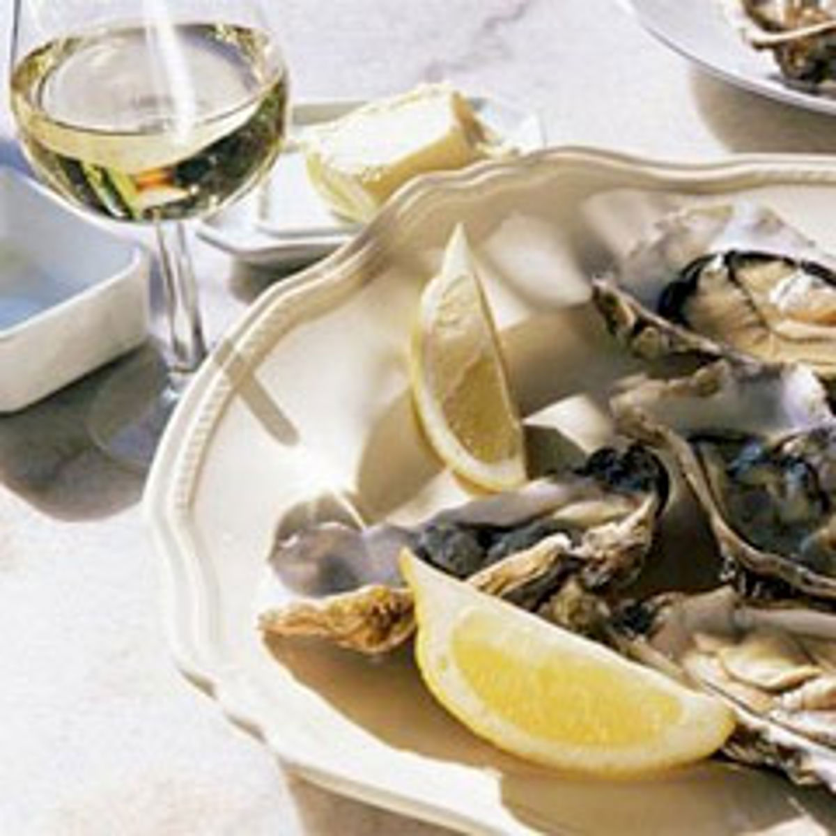 The Oyster Bar Adelaide - Logo