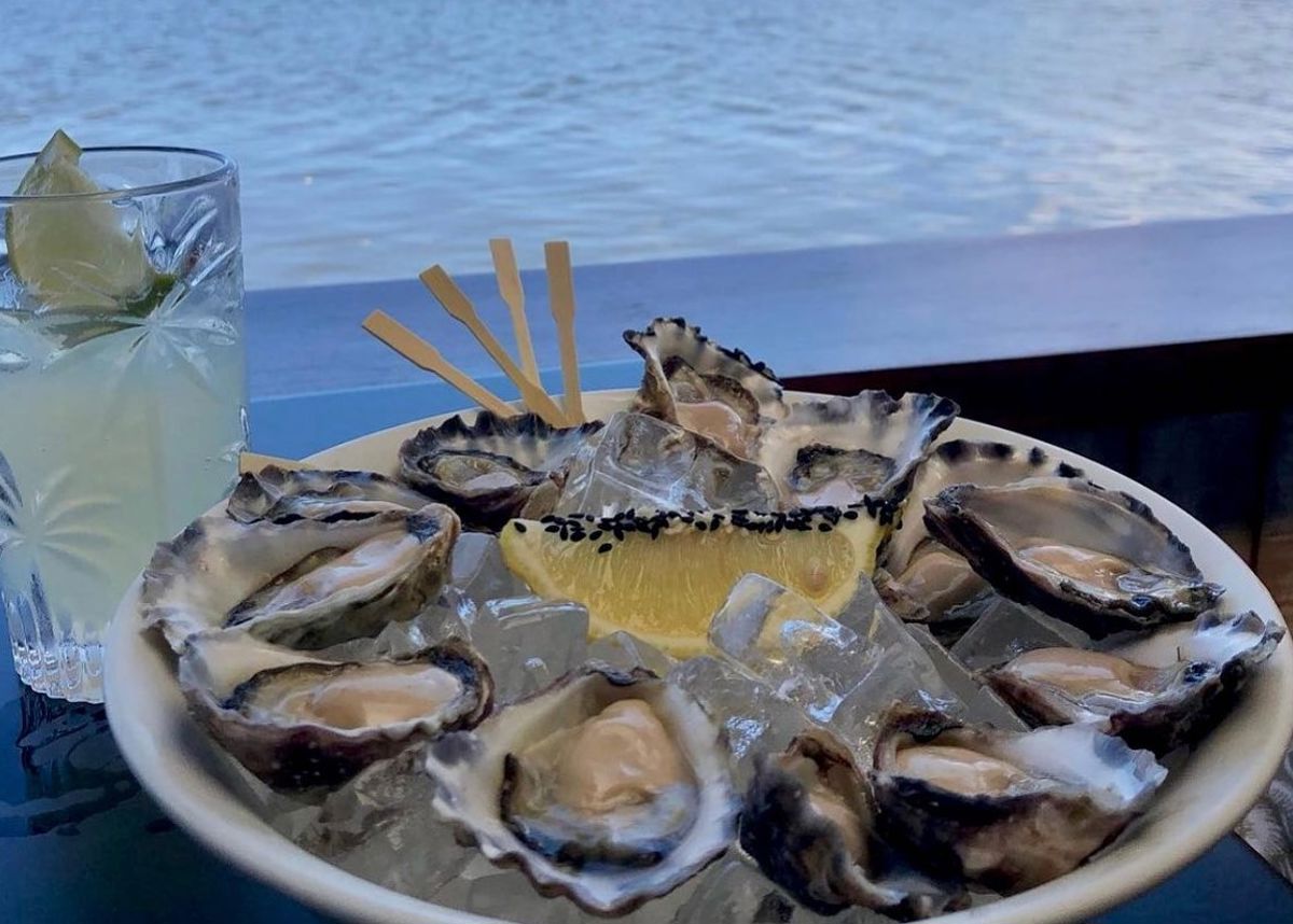 The Oyster Shed - Logo