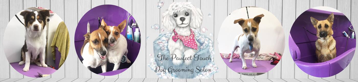 The Pawfect Touch - Cover photo