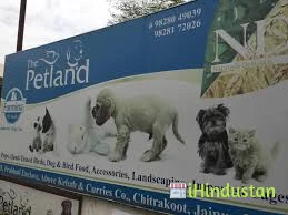 The Petland - Logo