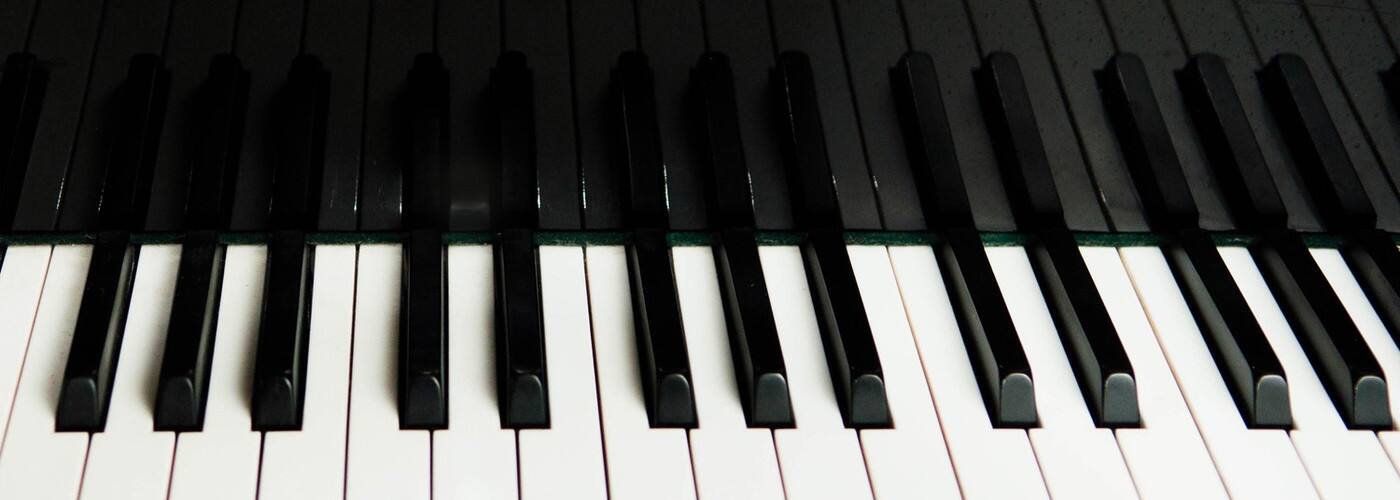The Piano Tree - Cover photo