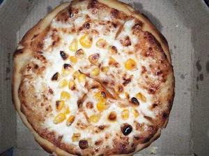The Pizza Express - Logo