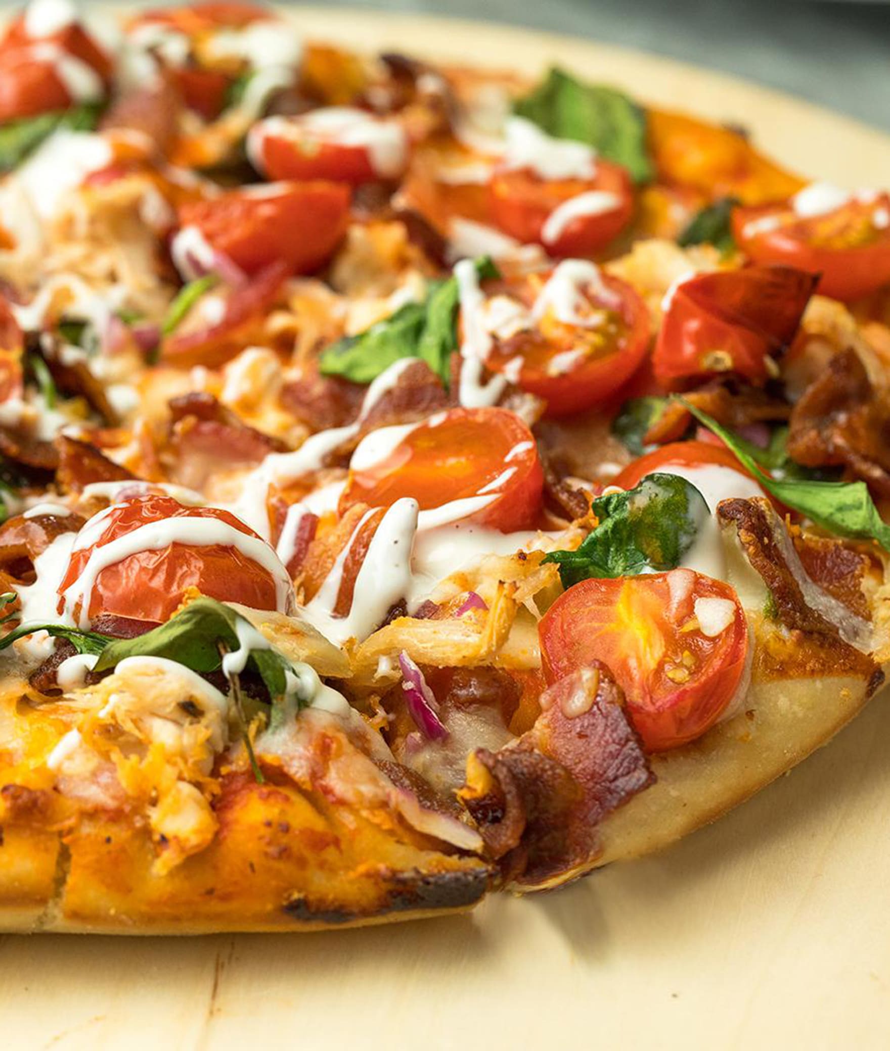 The pizza & thali lover - Logo
