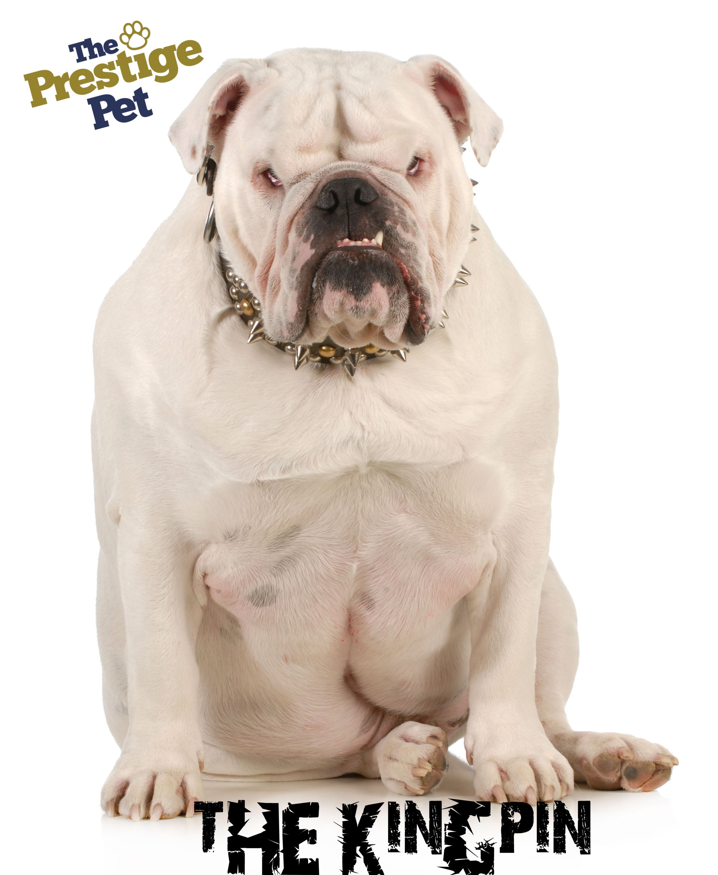 The Prestige Pet - Cover photo