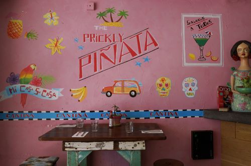The Prickly Pinata - Cover photo