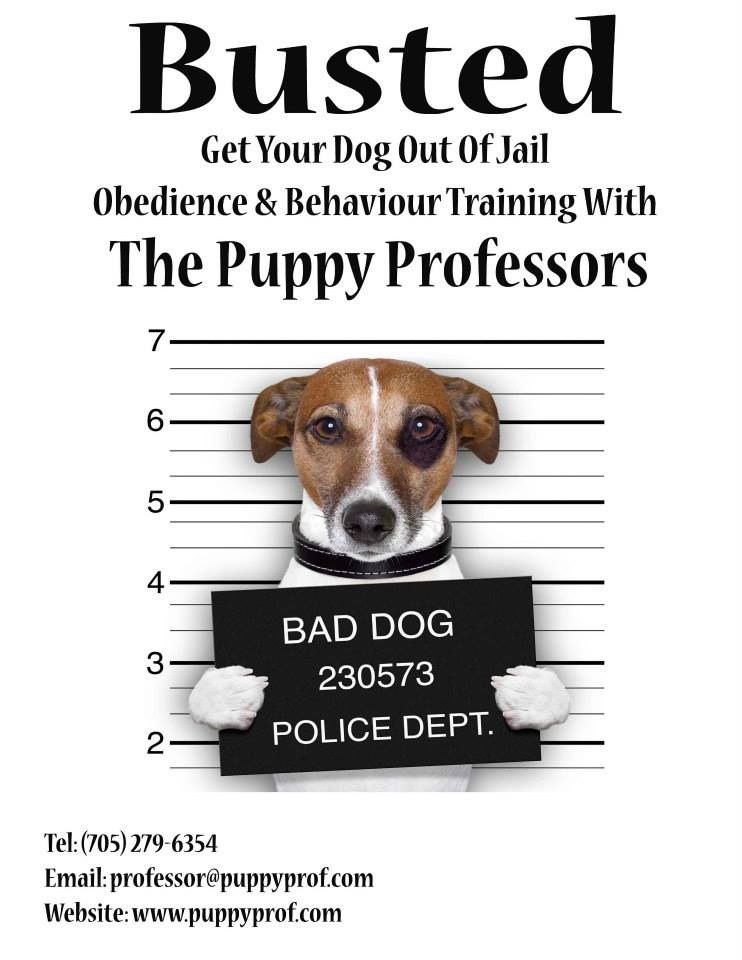 The Puppy Professors - Logo