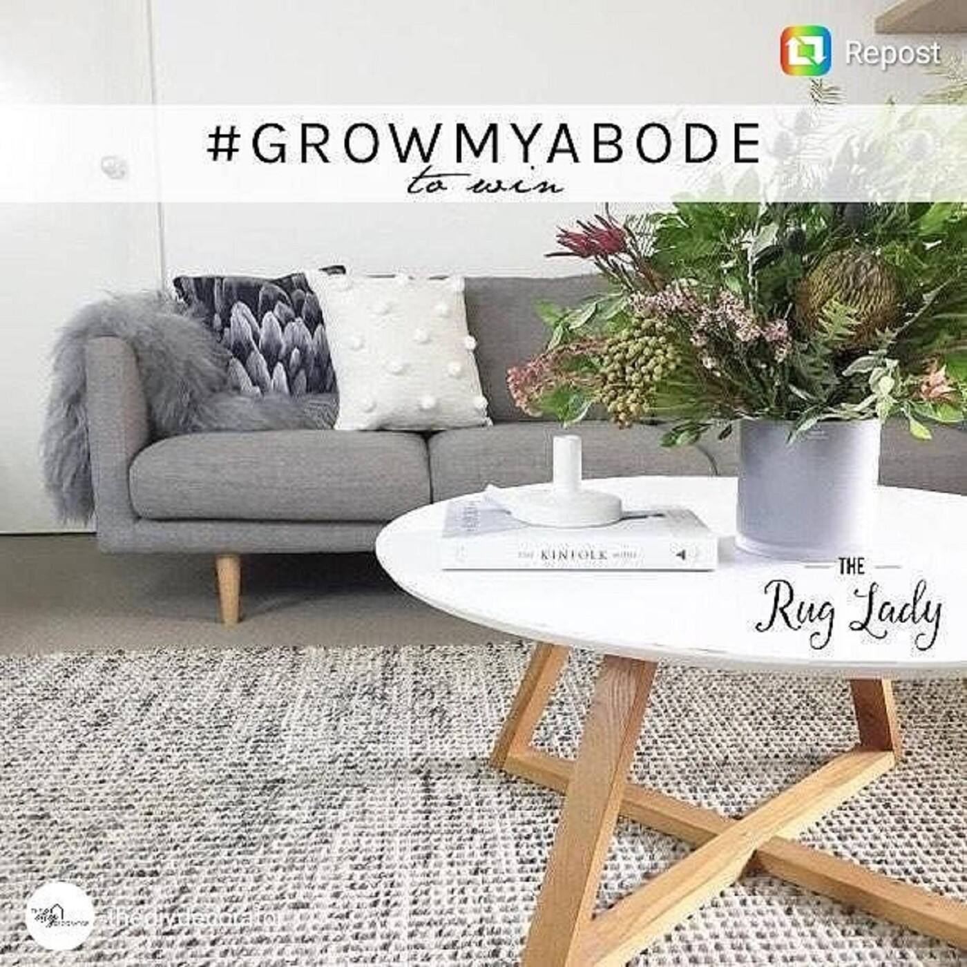 The Rug Lady - Cover photo