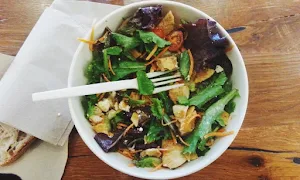The Salad Studio - Logo