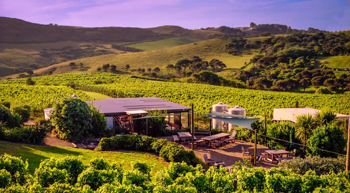 The Shed at Temotu Vineyard - Logo