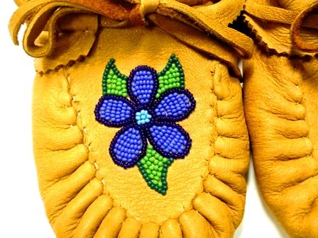 The Silver Moccasin - Cover photo