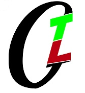 The &s;Lilttle Guy&s; Computer Consultants - Logo