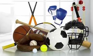 The Sport Mall - Logo