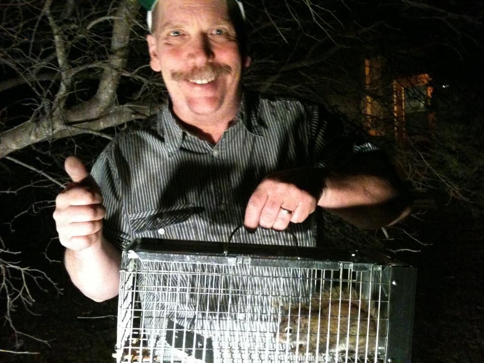 The Squirrel Guy - Cover photo