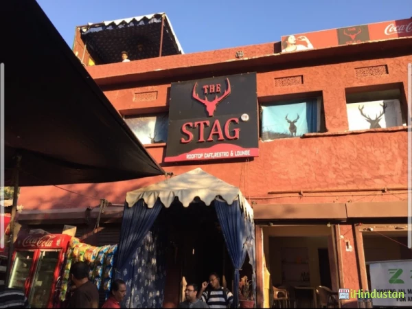 The stag resto cafe & lounge - Logo