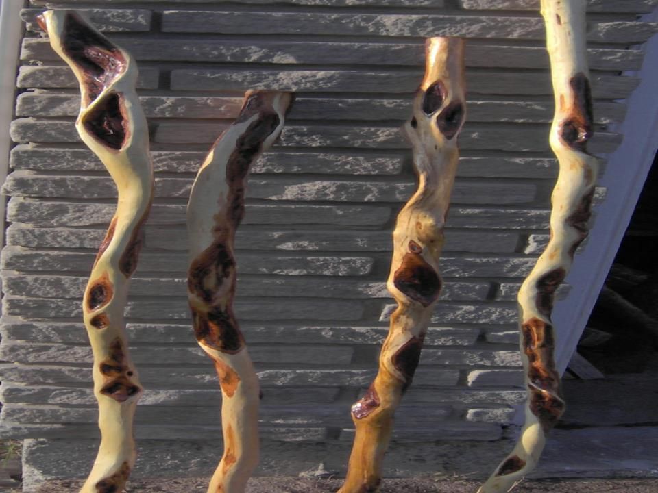 THE STICK MAN - Logo