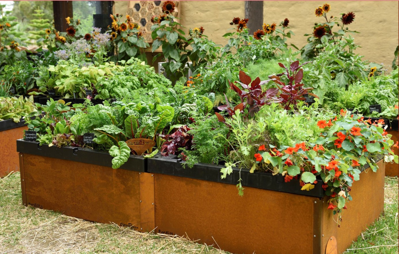 The Sustainable Gardener - Logo