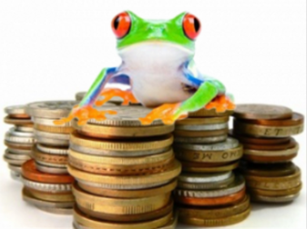 The Tax Toad - Cover photo