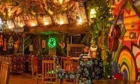 The Tipsy Tiger Garden Bar - Logo