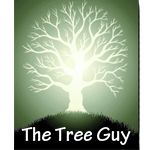 The Tree Guy - Logo