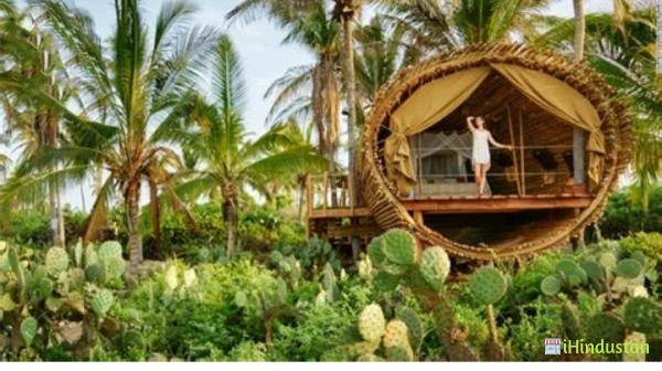 The tree house - Logo