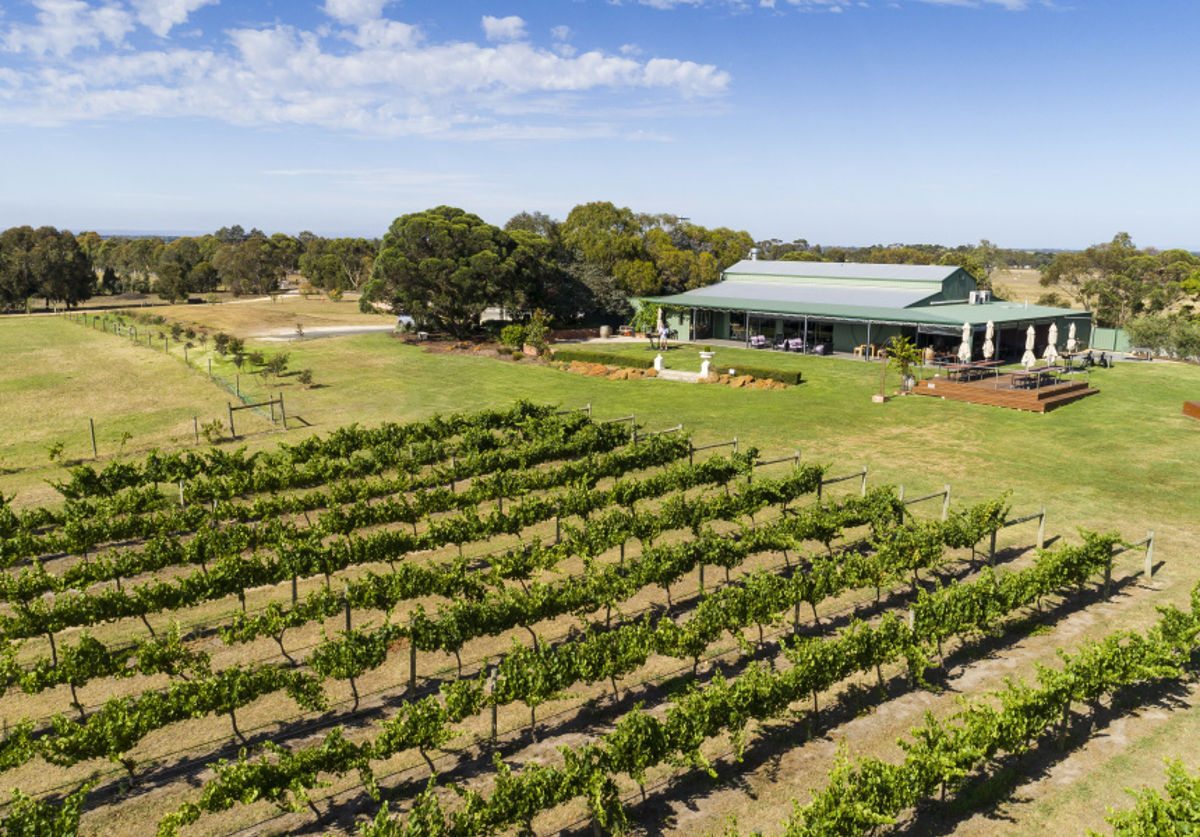 The Vines on Avon - Logo