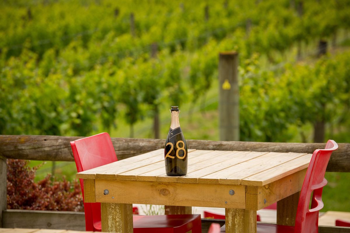 The Vineyard Cafe at Margrain Vineyard - Logo