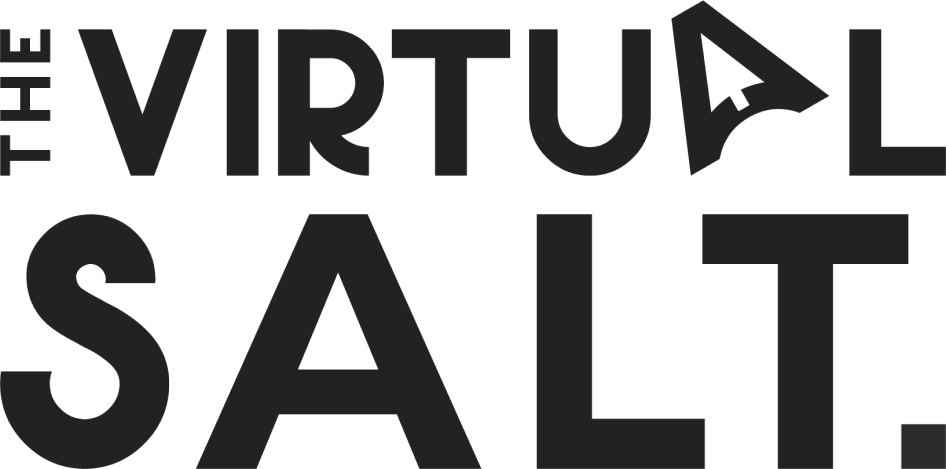 The Virtual Salt - Cover photo