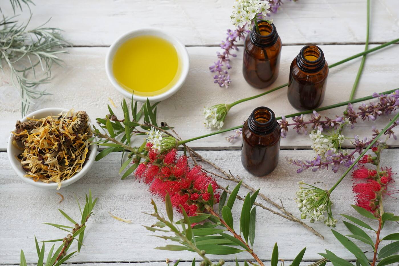 The Wellness Emporium - Cover photo