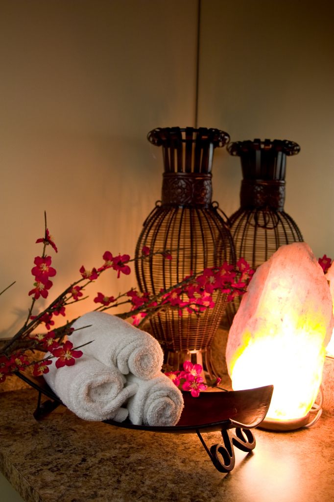 The Wellness Spa - Logo
