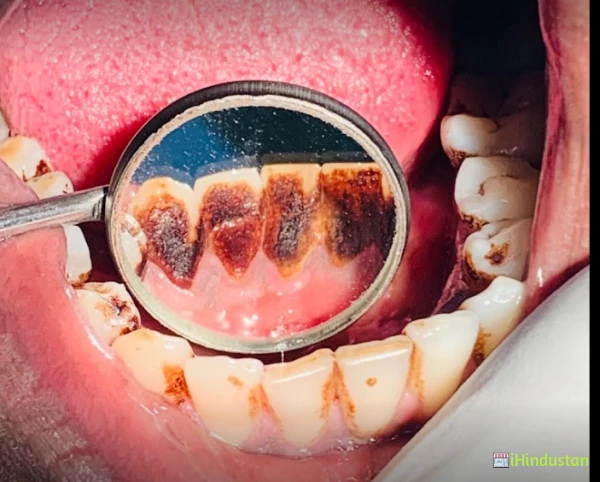 The White Arch Dental - Logo