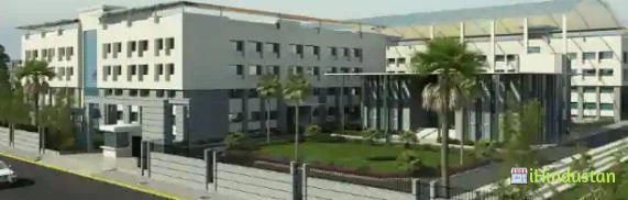 The Wisdom Tree School - Logo