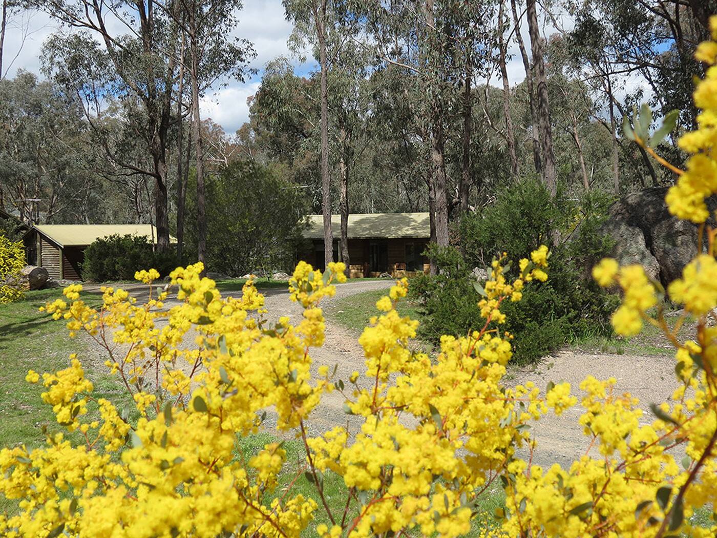 The Woolshed Cabins Beechworth - Logo