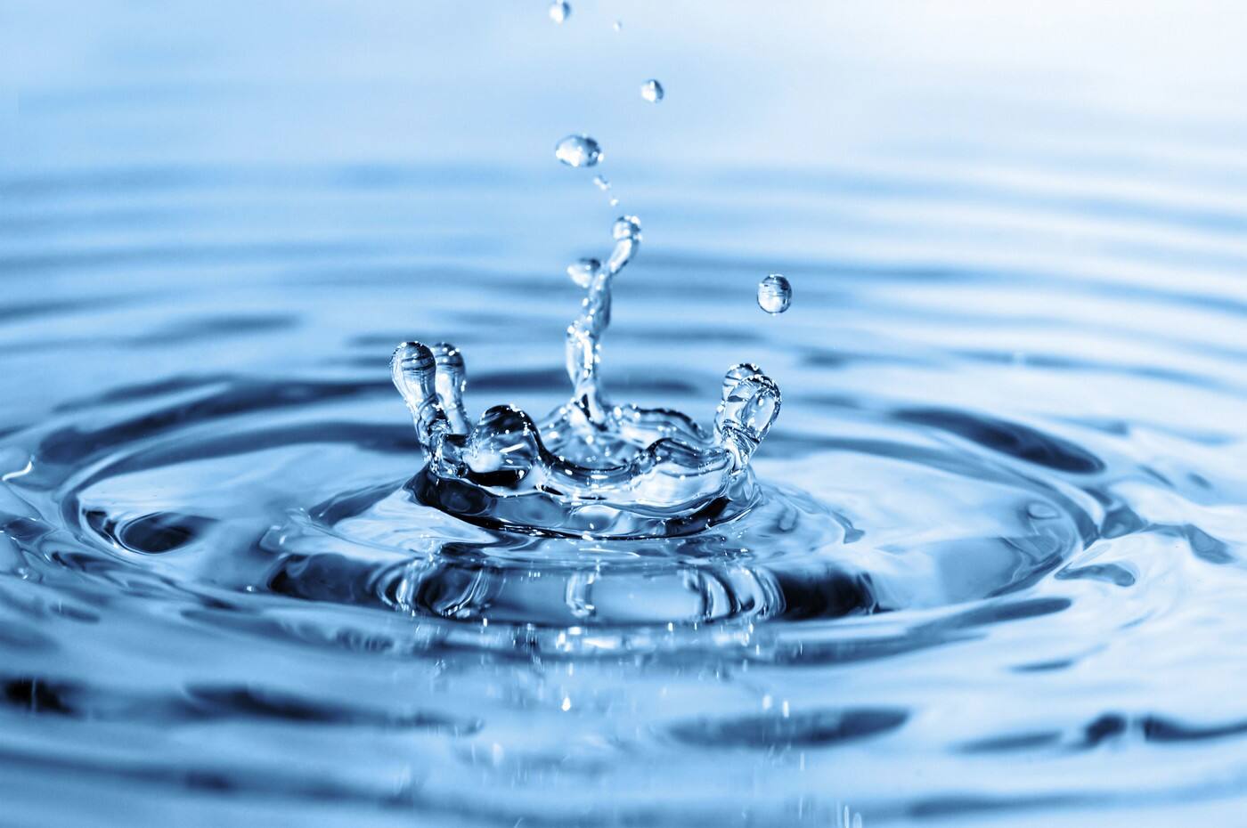 Think Water Devonport - Cover photo