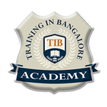 Tib Academy - Logo